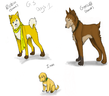 Golden sun dogs 1