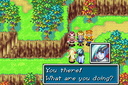 Golden Sun Vale